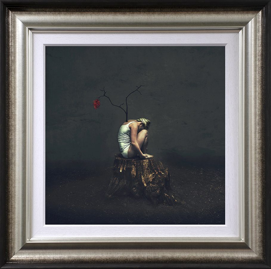 Seed Of Hope - Image 3