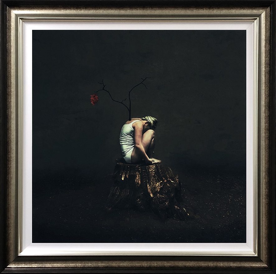 Seed Of Hope - Image 2