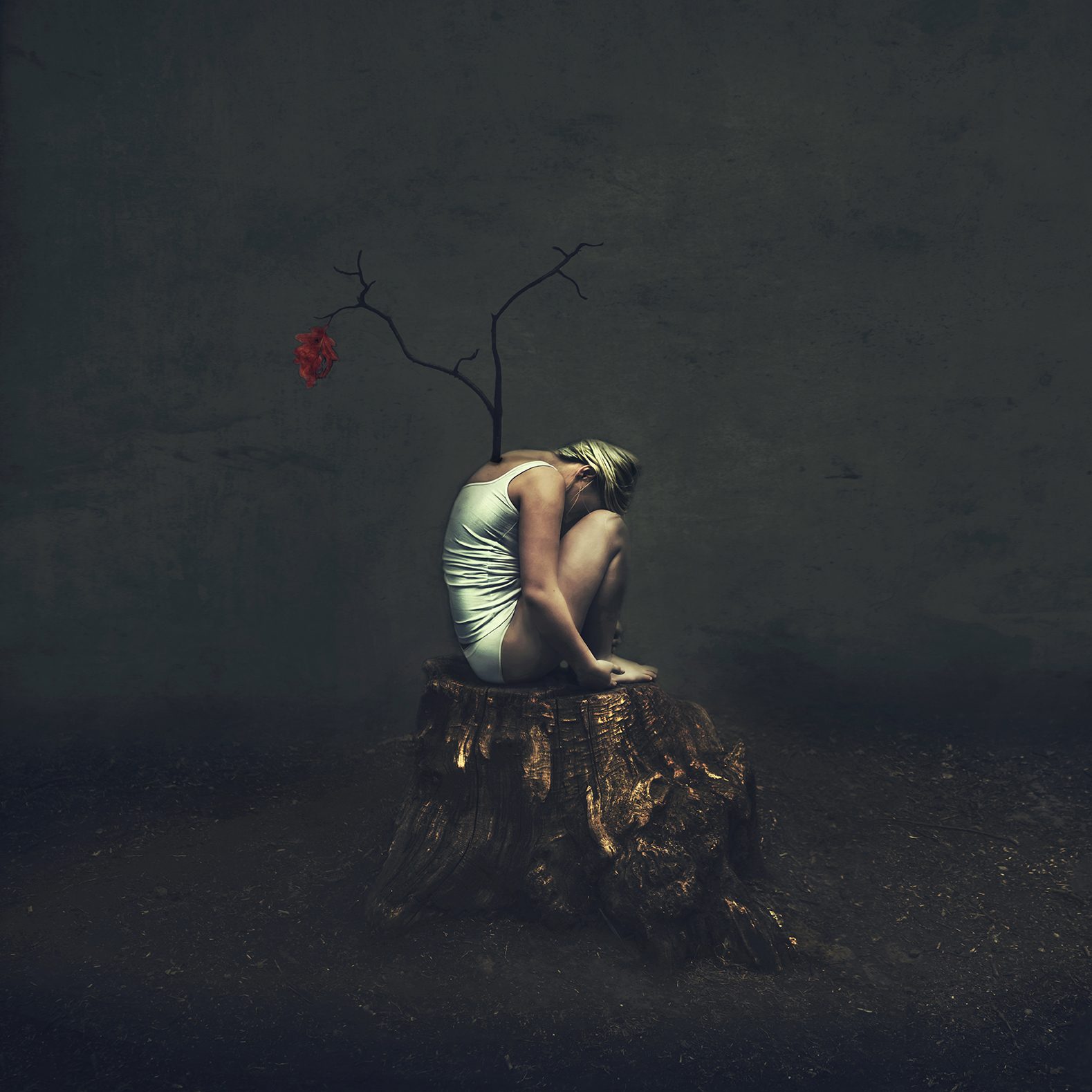 Seed Of Hope